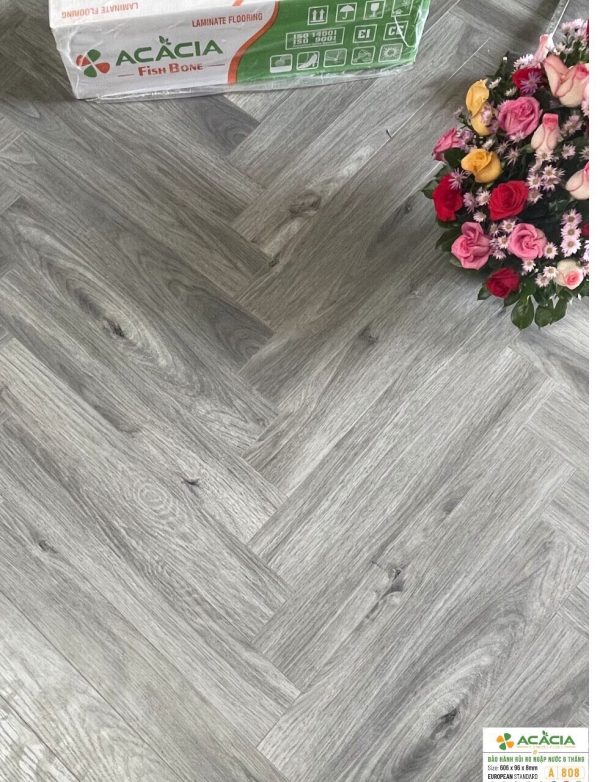 Sàn Gỗ Xương Cá Acacia 8mm A808 Cốt Xanh